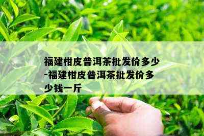 福建柑皮普洱茶批发价多少-福建柑皮普洱茶批发价多少钱一斤