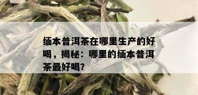 缅本普洱茶在哪里生产的好喝，揭秘：哪里的缅本普洱茶更好喝？