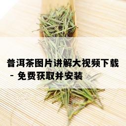 普洱茶图片讲解大视频下载 - 免费获取并安装