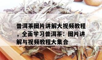 普洱茶图片讲解大视频教程，全面学习普洱茶：图片讲解与视频教程大集合