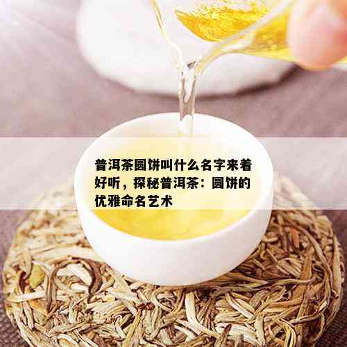 普洱茶圆饼叫什么名字来着好听，探秘普洱茶：圆饼的优雅命名艺术