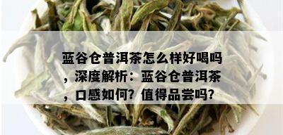 蓝谷仓普洱茶怎么样好喝吗，深度解析：蓝谷仓普洱茶，口感如何？值得品尝吗？