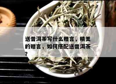 送普洱茶写什么赠言，精美的赠言，如何搭配送普洱茶？