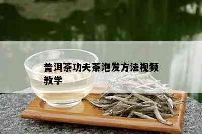 普洱茶功夫茶泡发方法视频教学