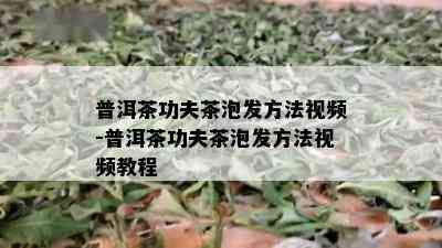 普洱茶功夫茶泡发方法视频-普洱茶功夫茶泡发方法视频教程