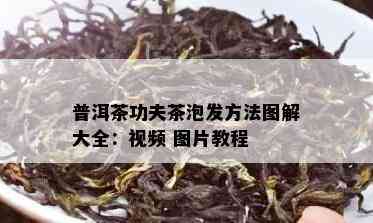 普洱茶功夫茶泡发方法图解大全：视频 图片教程