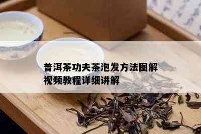 普洱茶功夫茶泡发方法图解视频教程详细讲解