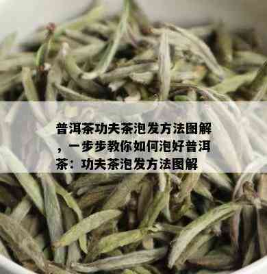 普洱茶功夫茶泡发方法图解，一步步教你如何泡好普洱茶：功夫茶泡发方法图解