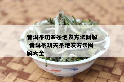 普洱茶功夫茶泡发方法图解-普洱茶功夫茶泡发方法图解大全