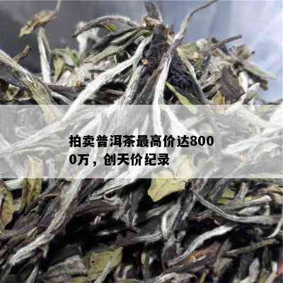 拍卖普洱茶更高价达8000万，创天价纪录