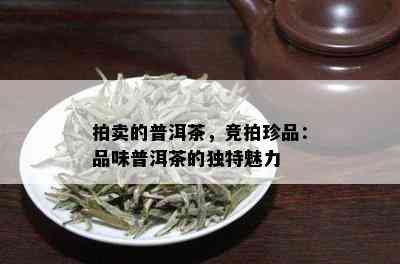 拍卖的普洱茶，竞拍珍品：品味普洱茶的独特魅力