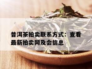 普洱茶拍卖联系方式：查看最新拍卖网及会信息