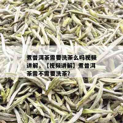 煮普洱茶需要洗茶么吗视频讲解，【视频讲解】煮普洱茶需不需要洗茶？