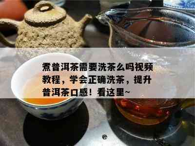 煮普洱茶需要洗茶么吗视频教程，学会正确洗茶，提升普洱茶口感！看这里~