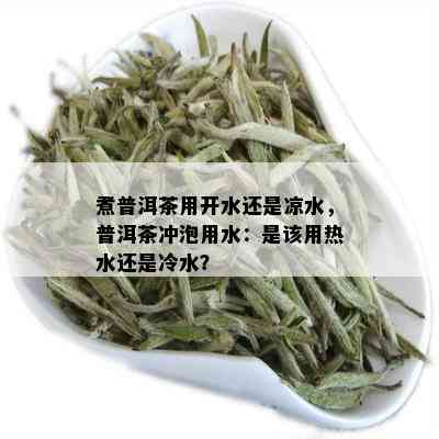 煮普洱茶用开水还是凉水，普洱茶冲泡用水：是该用热水还是冷水？