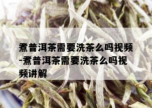 煮普洱茶需要洗茶么吗视频-煮普洱茶需要洗茶么吗视频讲解