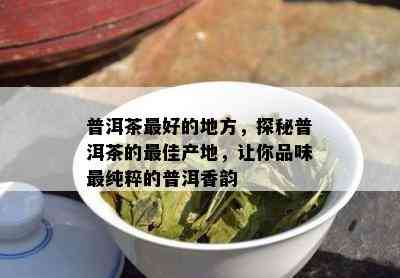 普洱茶更好的地方，探秘普洱茶的更佳产地，让你品味最纯粹的普洱香韵