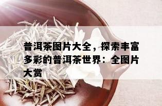 普洱茶图片大全，探索丰富多彩的普洱茶世界：全图片大赏