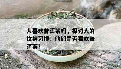 人喜欢普洱茶吗，探讨人的饮茶习惯：他们是否喜欢普洱茶？