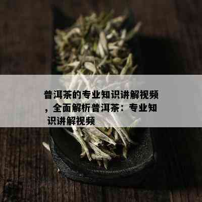 普洱茶的专业知识讲解视频，全面解析普洱茶：专业知 识讲解视频