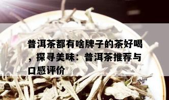 普洱茶都有啥牌子的茶好喝，探寻美味：普洱茶推荐与口感评价