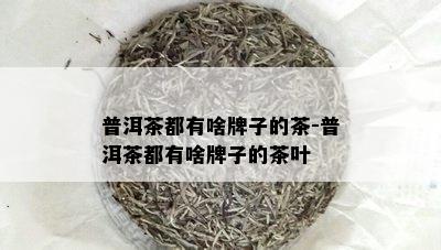 普洱茶都有啥牌子的茶-普洱茶都有啥牌子的茶叶