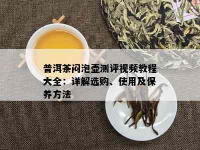 普洱茶闷泡壶测评视频教程大全：详解选购、使用及保养方法