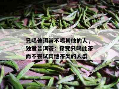 只喝普洱茶不喝其他的人，独爱普洱茶：探究只喝此茶而不尝试其他茶类的人群