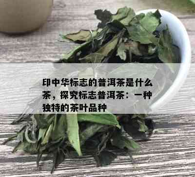 印中华标志的普洱茶是什么茶，探究标志普洱茶：一种独特的茶叶品种