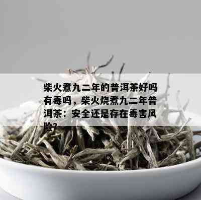 柴火煮九二年的普洱茶好吗有吗，柴火烧煮九二年普洱茶：安全还是存在害风险？