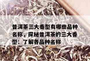 普洱茶三大香型有哪些品种名称，探秘普洱茶的三大香型：了解各品种名称