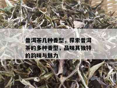 普洱茶几种香型，探索普洱茶的多种香型，品味其独特的韵味与魅力