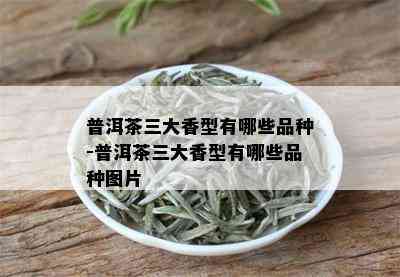 普洱茶三大香型有哪些品种-普洱茶三大香型有哪些品种图片