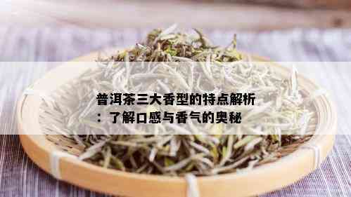 普洱茶三大香型的特点解析：了解口感与香气的奥秘