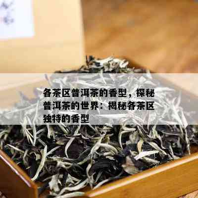 各茶区普洱茶的香型，探秘普洱茶的世界：揭秘各茶区独特的香型