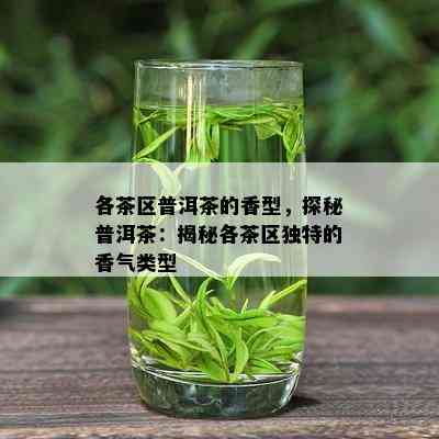 各茶区普洱茶的香型，探秘普洱茶：揭秘各茶区独特的香气类型