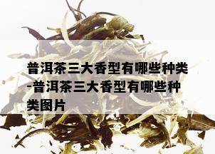 普洱茶三大香型有哪些种类-普洱茶三大香型有哪些种类图片