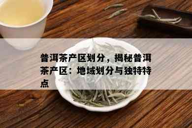 普洱茶产区划分，揭秘普洱茶产区：地域划分与独特特点