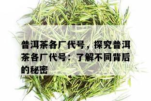 普洱茶各厂代号，探究普洱茶各厂代号：了解不同背后的秘密