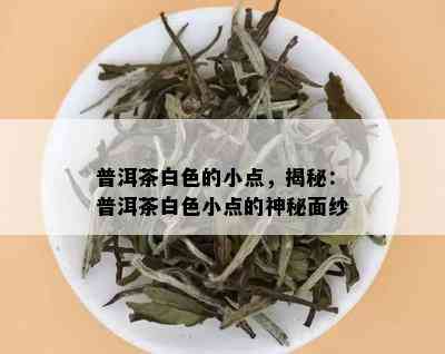 普洱茶白色的小点，揭秘：普洱茶白色小点的神秘面纱