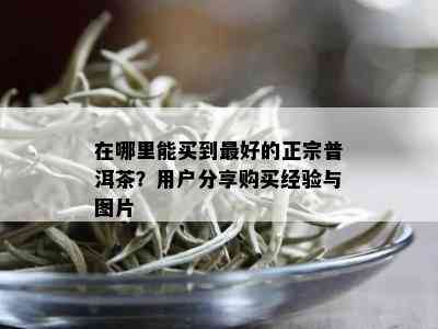 在哪里能买到更好的正宗普洱茶？用户分享购买经验与图片