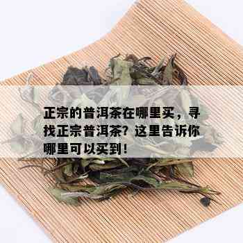 正宗的普洱茶在哪里买，寻找正宗普洱茶？这里告诉你哪里可以买到！