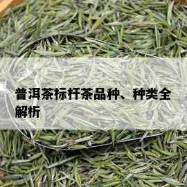 普洱茶标杆茶品种、种类全解析