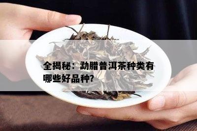 全揭秘：勐腊普洱茶种类有哪些好品种？