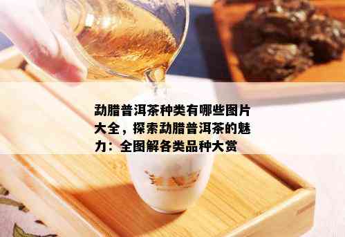 勐腊普洱茶种类有哪些图片大全，探索勐腊普洱茶的魅力：全图解各类品种大赏