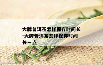 大牌普洱茶怎样保存时间长-大牌普洱茶怎样保存时间长一点