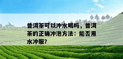 普洱茶可以冲水喝吗，普洱茶的正确冲泡方法：能否用水冲服？