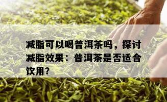 减脂可以喝普洱茶吗，探讨减脂效果：普洱茶是否适合饮用？