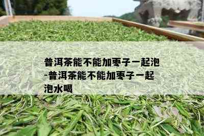 普洱茶能不能加枣子一起泡-普洱茶能不能加枣子一起泡水喝