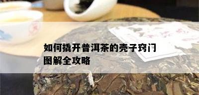 如何撬开普洱茶的壳子窍门图解全攻略